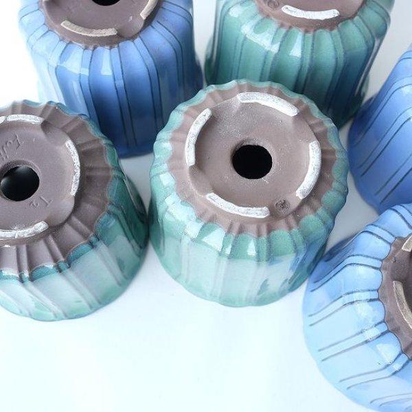 画像7: 塗り鉢（多肉寄せ植え用） (7)