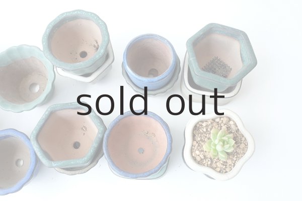 画像3: 塗り鉢・小（バラ・ USED） (3)