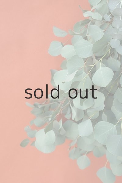 画像4: Dry plants for decor ユーカリ2種シンプルスワッグ (4)