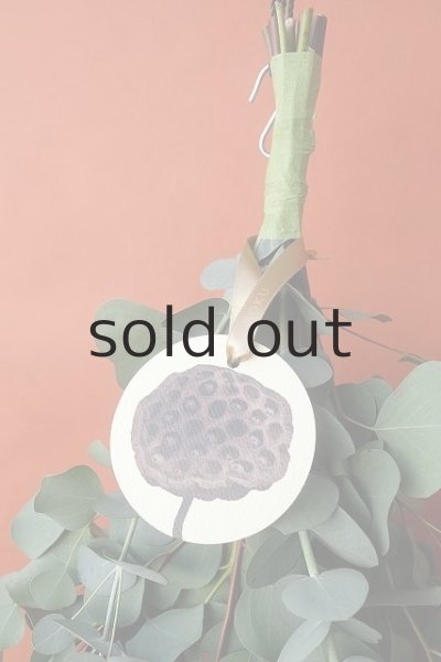 画像2: Dry plants for decor ユーカリ2種シンプルスワッグ (2)