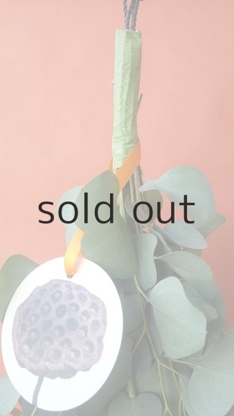 画像2: Dry plants for decor ユーカリ2種シンプルスワッグ (2)