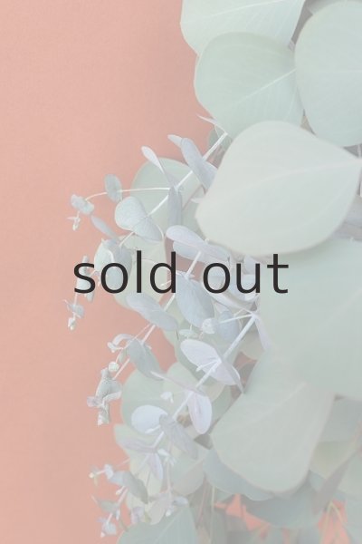 画像4: Dry plants for decor ユーカリ2種シンプルスワッグ (4)