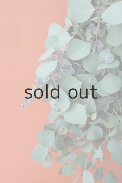 画像3: Dry plants for decor ユーカリ2種シンプルスワッグ (3)