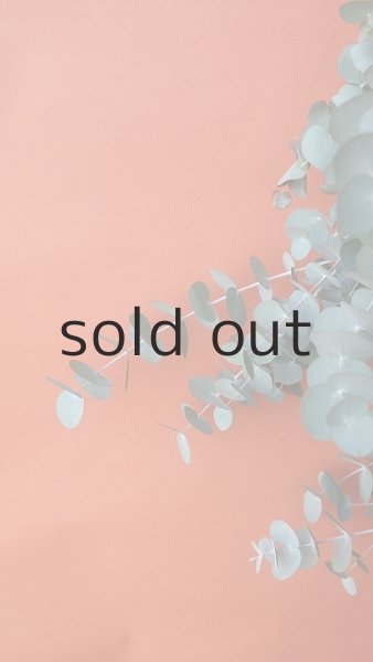 画像3: Dry plants for decor ユーカリ2種シンプルスワッグ (3)