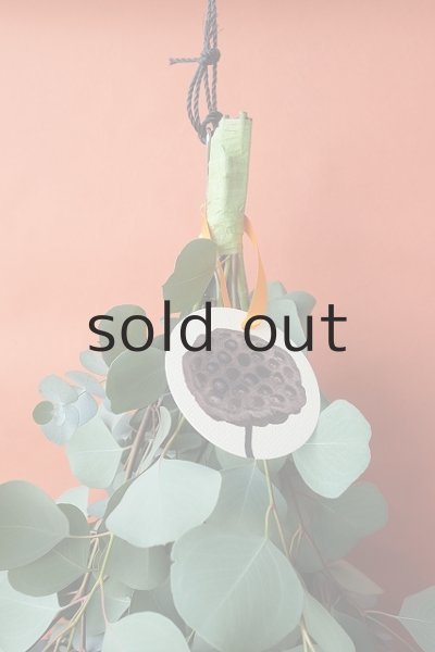 画像2: Dry plants for decor ユーカリ2種シンプルスワッグ (2)