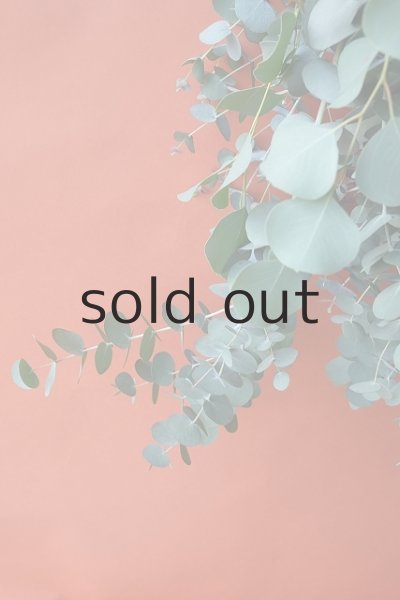 画像3: Dry plants for decor ユーカリ2種シンプルスワッグ (3)