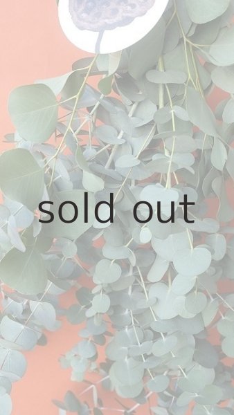 画像4: Dry plants for decor ユーカリ2種シンプルスワッグ (4)