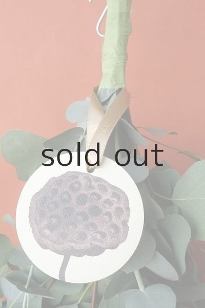 画像3: Dry plants for decor ユーカリ2種シンプルスワッグ (3)