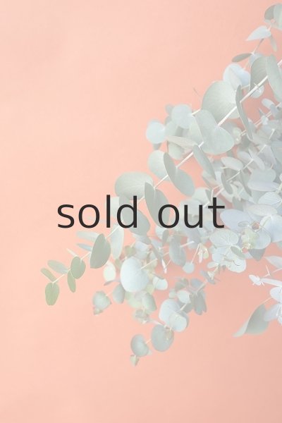 画像3: Dry plants for decor ユーカリ2種シンプルスワッグ (3)