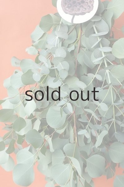 画像5: Dry plants for decor ユーカリ2種シンプルスワッグ (5)