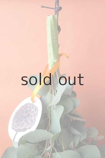 画像2: Dry plants for decor ユーカリ2種シンプルスワッグ (2)