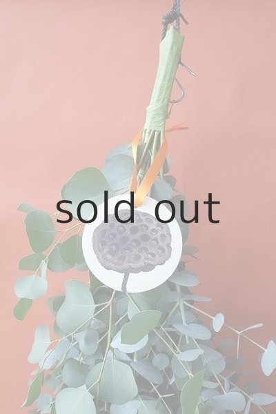 画像2: Dry plants for decor ユーカリ2種シンプルスワッグ (2)