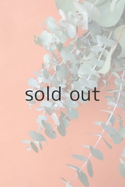 画像3: Dry plants for decor ユーカリ2種シンプルスワッグ (3)