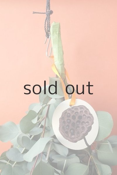 画像2: Dry plants for decor ユーカリ2種シンプルスワッグ (2)