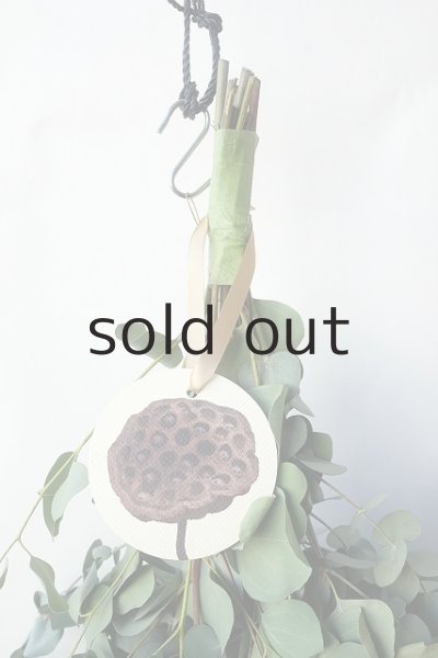 画像2: Dry plants for decor ユーカリ2種シンプルスワッグ (2)