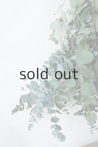 画像3: Dry plants for decor ユーカリ2種シンプルスワッグ (3)