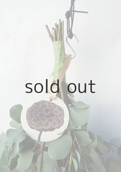 画像2: Dry plants for decor ユーカリ2種シンプルスワッグ (2)