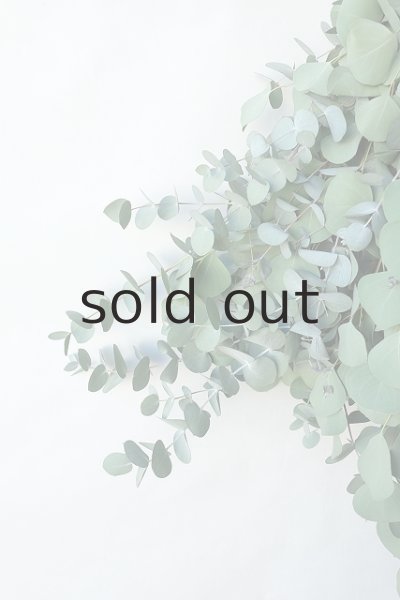 画像3: Dry plants for decor ユーカリ2種シンプルスワッグ (3)