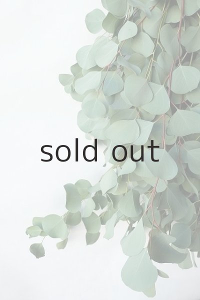 画像3: Dry plants for decor ユーカリ2種シンプルスワッグ (3)