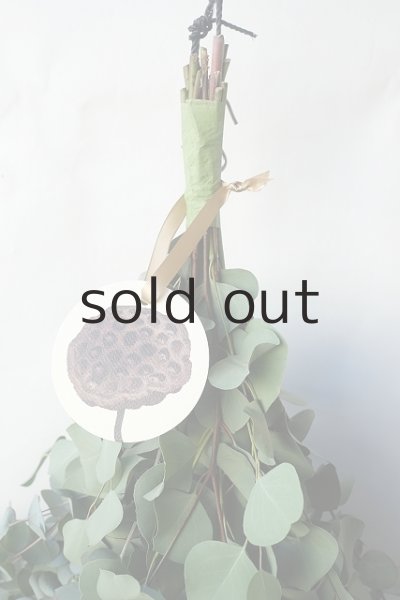 画像2: Dry plants for decor ユーカリ2種シンプルスワッグ (2)