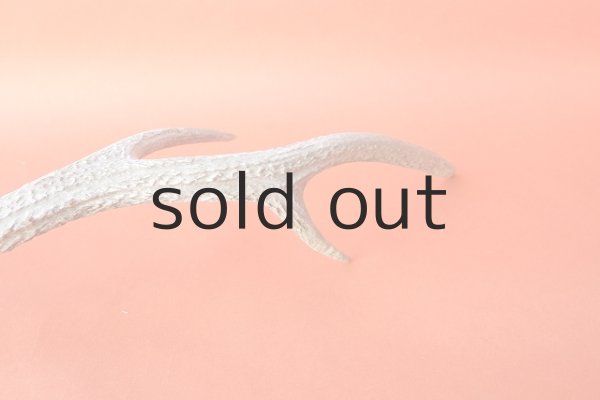 画像7: デコール用二ホンジカの角 (7)