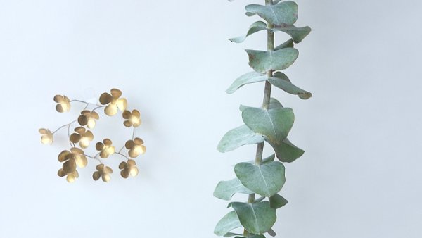 画像5: Dry plants for decor ユーカリ生切り枝（プルベルレンタ・銀世界）タイプ700mm (5)