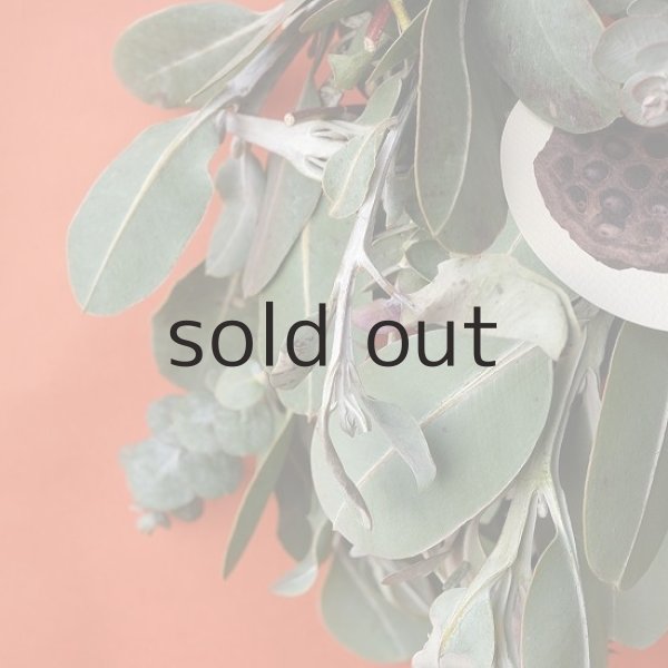 画像3: Dry plants for decor ユーカリ2種シンプルリース (3)