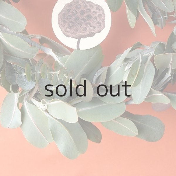 画像3: Dry plants for decor ユーカリ2種シンプルリース (3)