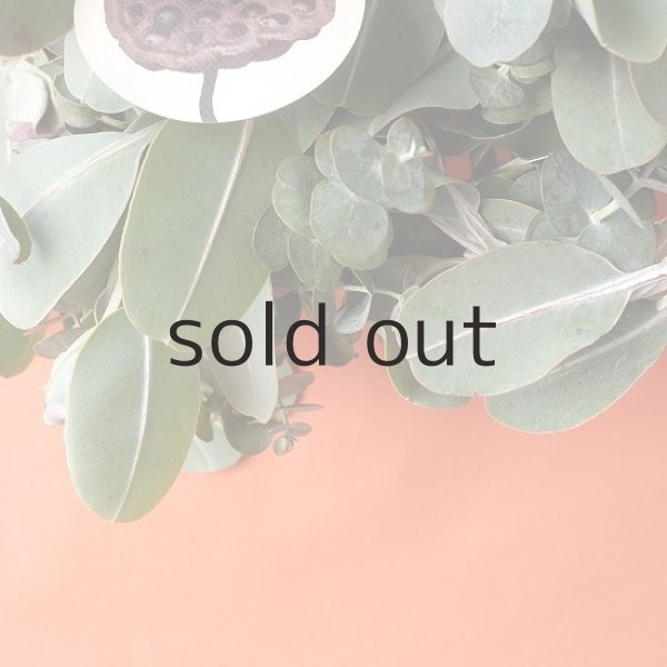 画像4: Dry plants for decor ユーカリ2種シンプルリース (4)