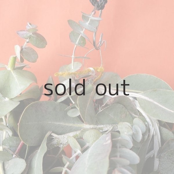 画像2: Dry plants for decor ユーカリ2種シンプルリース (2)