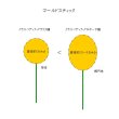 画像9: Dry plants for decor クラスペディア ・グラウカ種 (9)