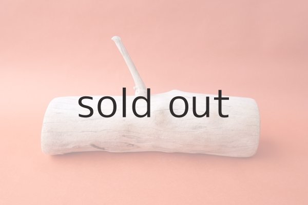 画像2: 幹流木 (2)