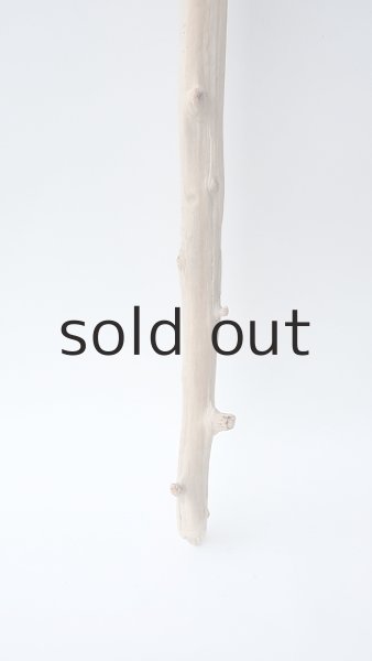 画像2: 枝流木 (2)