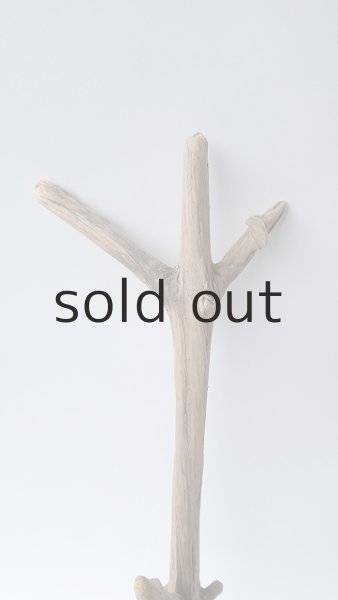 画像3: 枝流木 (3)