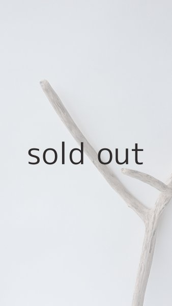 画像3: 枝流木 (3)