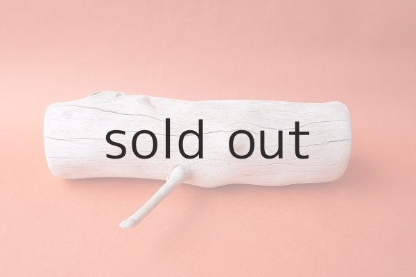 画像3: 幹流木 (3)