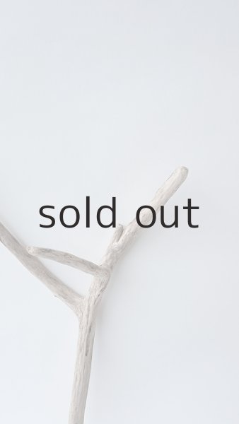 画像4: 枝流木 (4)