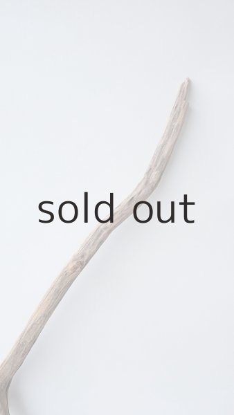 画像4: 枝流木 (4)