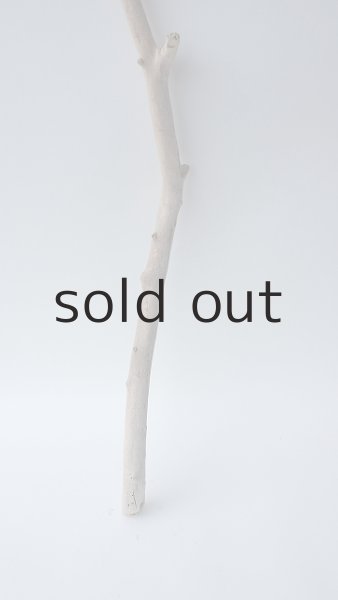 画像2: 枝流木 (2)