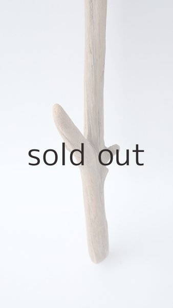 画像2: 枝流木 (2)