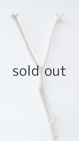 画像3: 枝流木 (3)