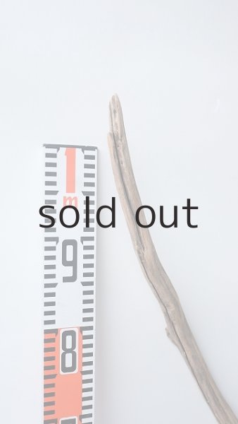 画像6: 枝流木 (6)