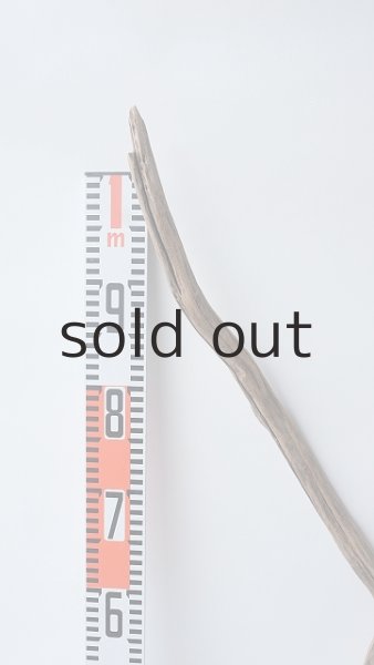 画像5: 枝流木 (5)