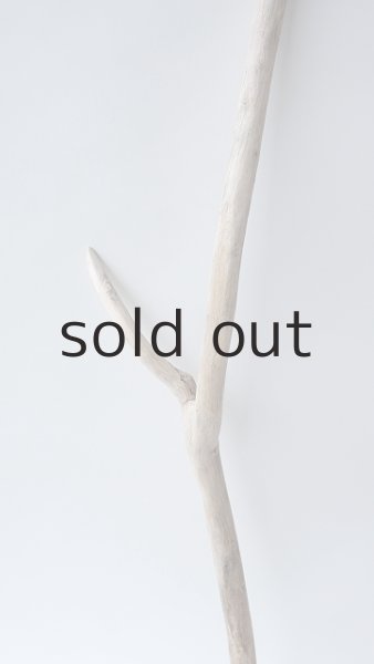 画像3: 枝流木 (3)