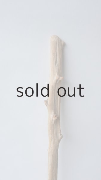 画像4: 枝流木 (4)