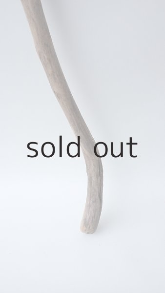 画像2: 枝流木 (2)