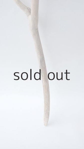 画像2: 枝流木 (2)