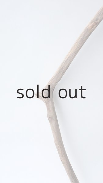 画像3: 枝流木 (3)