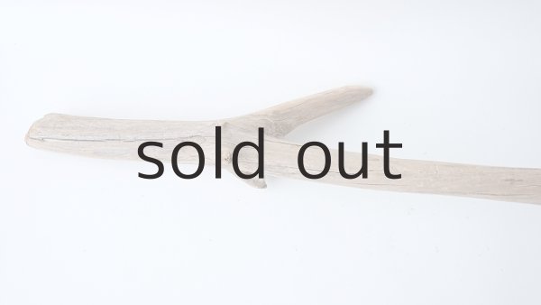 画像6: 枝流木 (6)