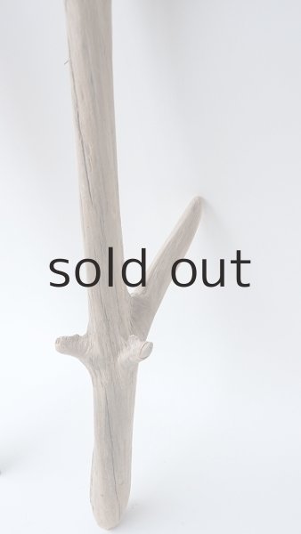 画像4: 枝流木 (4)